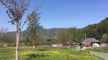 施設からの眺望 / 36