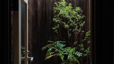 内部エントランス / 3