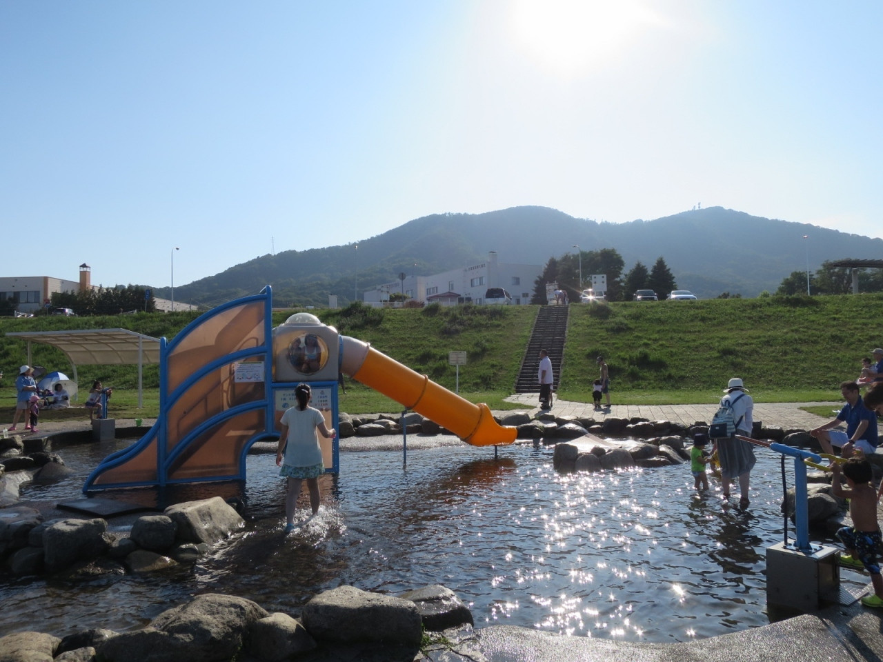 豊平川緑地ウォーターガーデン604798
