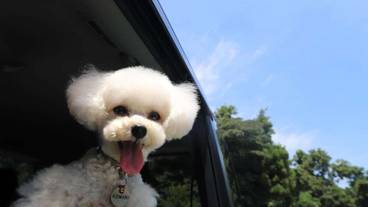 チェックイン / チェックアウト キオスク / 1