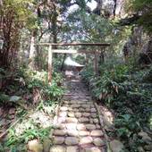 島の宿 三宅島スナッパー（東京都 民宿） / 5