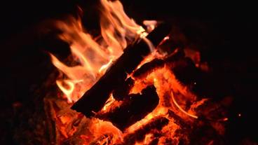 施設の敷地 / 19