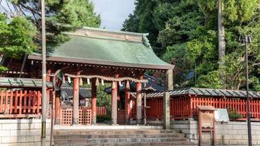 シティ ビュー / 9