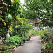 プチホテル キーウェストクラブ（沖縄県 ペンション） / 3