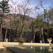 温泉旅館 錦和荘（北海道 旅館） / 5