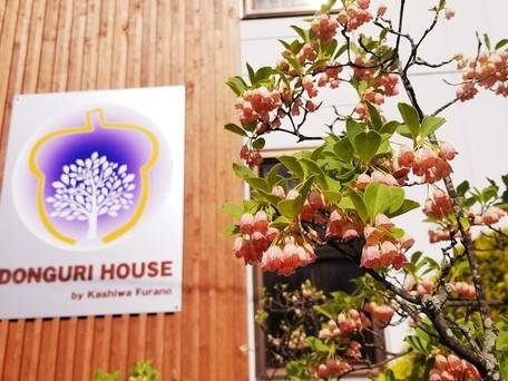 どんぐりハウス / 3