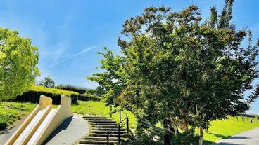 観光スポット / 6