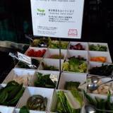 花ごよみ  東京（ハナゴヨミトウキョウ）