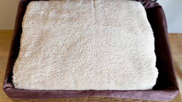 施設内の設備 / 4