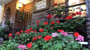 施設の正面 (日没後) / 10