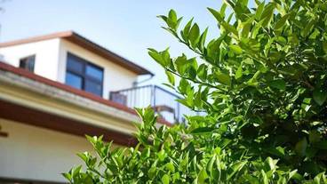 施設の敷地 / 18