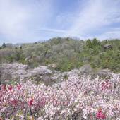 グランピング 星が見の杜(岐阜県 グランピング) / 3