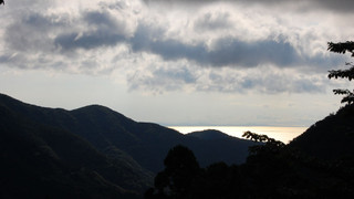 本館和洋室　仙石 - 懐石コースの夕食と和定食の朝食（ともに魚介類が中心）の1泊2食付