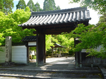 酬恩庵(一休寺)　【京田辺市】1031546