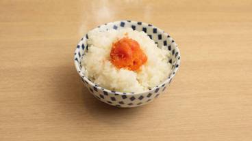 朝食 / 16