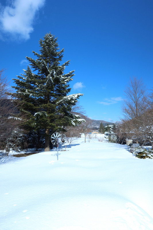 ホテル中庭。春～秋にかけては、緑が広がる綺麗なお庭なようです