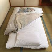 富士御殿場コンドミニアムTANNPOPO（静岡県 アパートメント） / 4