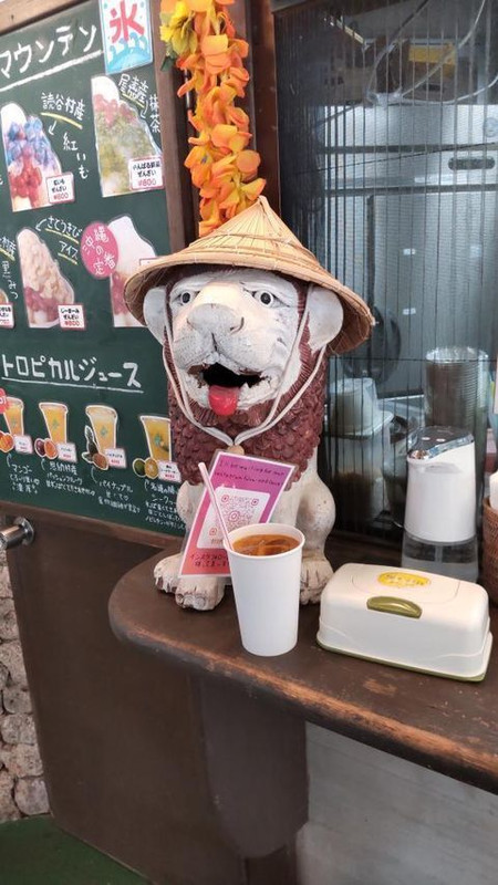 misuzu.fukuokaさんの写真 / 1