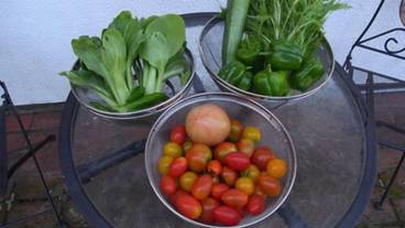 食事・飲み物 / 10