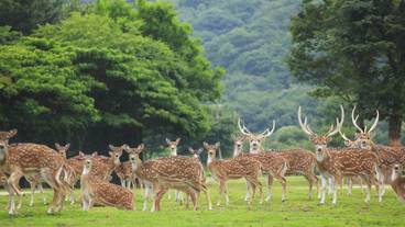 観光スポット / 15