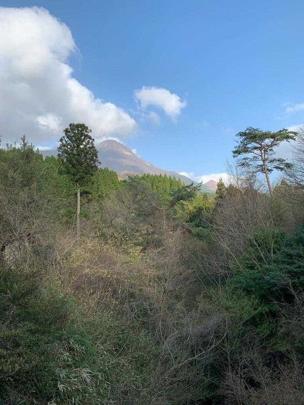 a_ya.03さんの写真 / 2