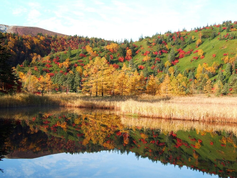 バーベキュー / ピクニック エリア