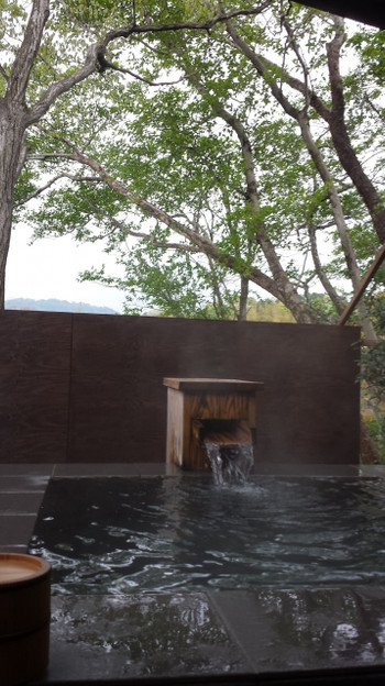 愛犬用のビュッフェメニューにワンちゃんも大喜び♡3927930