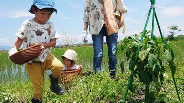 施設の敷地 / 23
