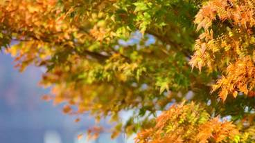 観光スポット / 12