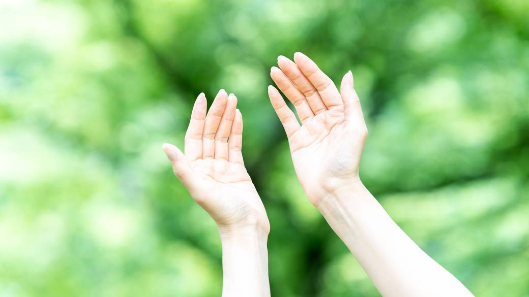 森を歩く朝の
ウォーキングツアー / 2