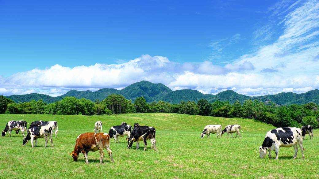 「北軽井沢」で
観光地巡り / 1