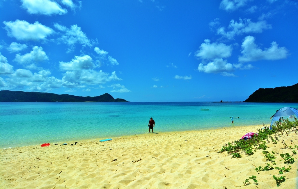 南の楽園・奄美大島3476327