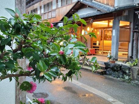 城崎温泉 月本屋旅館 / 5