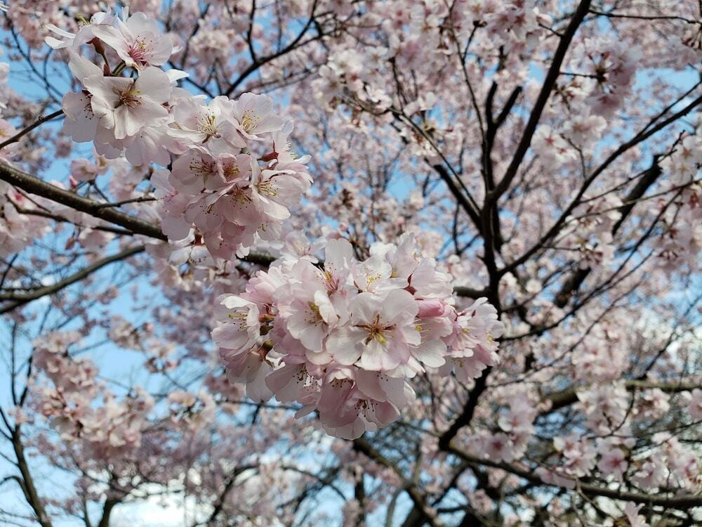 観光スポット