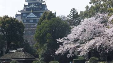 施設からの眺望 / 23