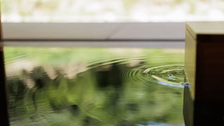 デラックス スイート