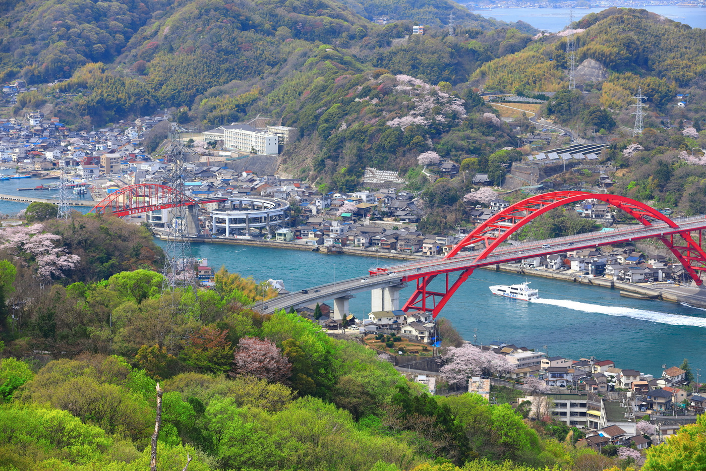 【広島県】桜が満開の音戸大橋とスーパージェット