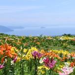 滋賀・高島市は穴場的な観光地！デートにおすすめのフォトスポット11選