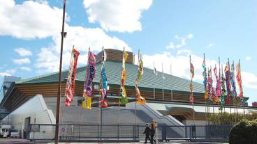 シティ ビュー / 14