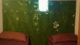 ジュニア ダブルまたはツインルーム シングルベッド 2 台 禁煙 共用バスルーム