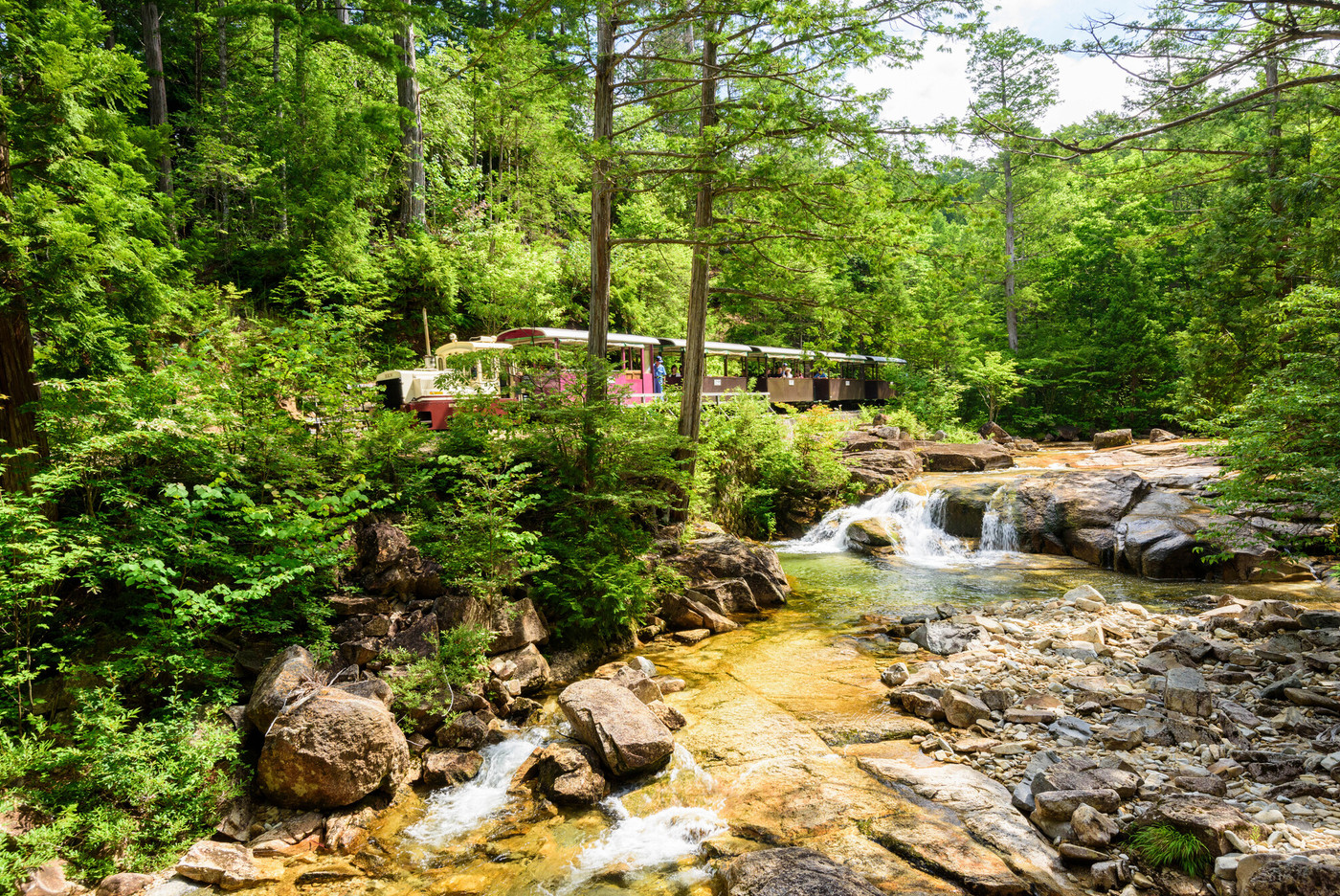 5．日本三大美林の一つ。森林浴でリフレッシュしよう「赤沢自然休養林」1839942