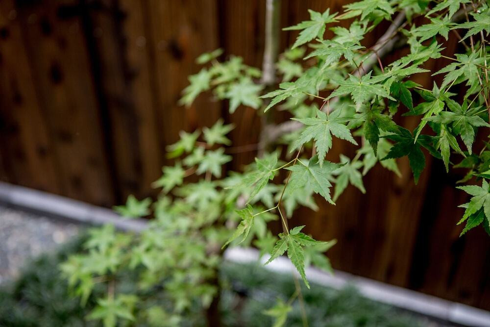 施設からの眺望