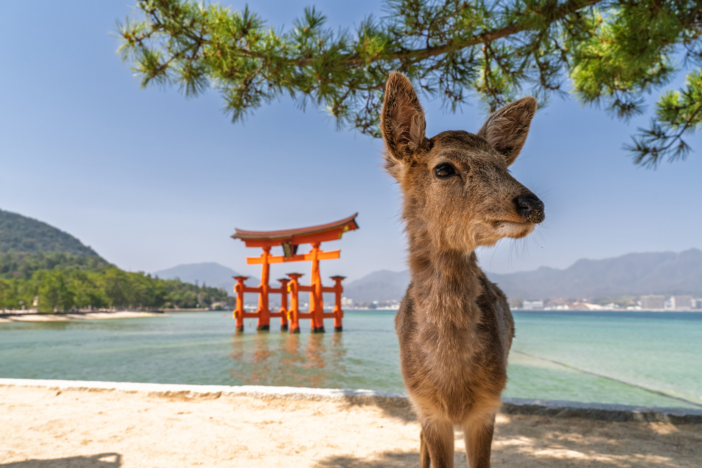 2つの世界遺産や豊かな自然に触れ合える！広島県ってこんな場所！3433584