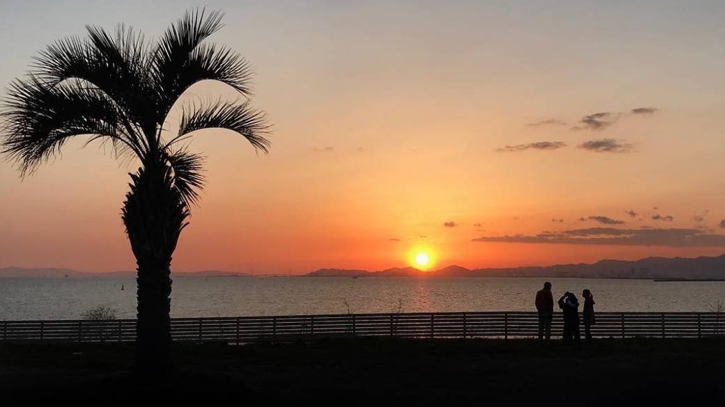 敷地内から見た夕日① / 1
