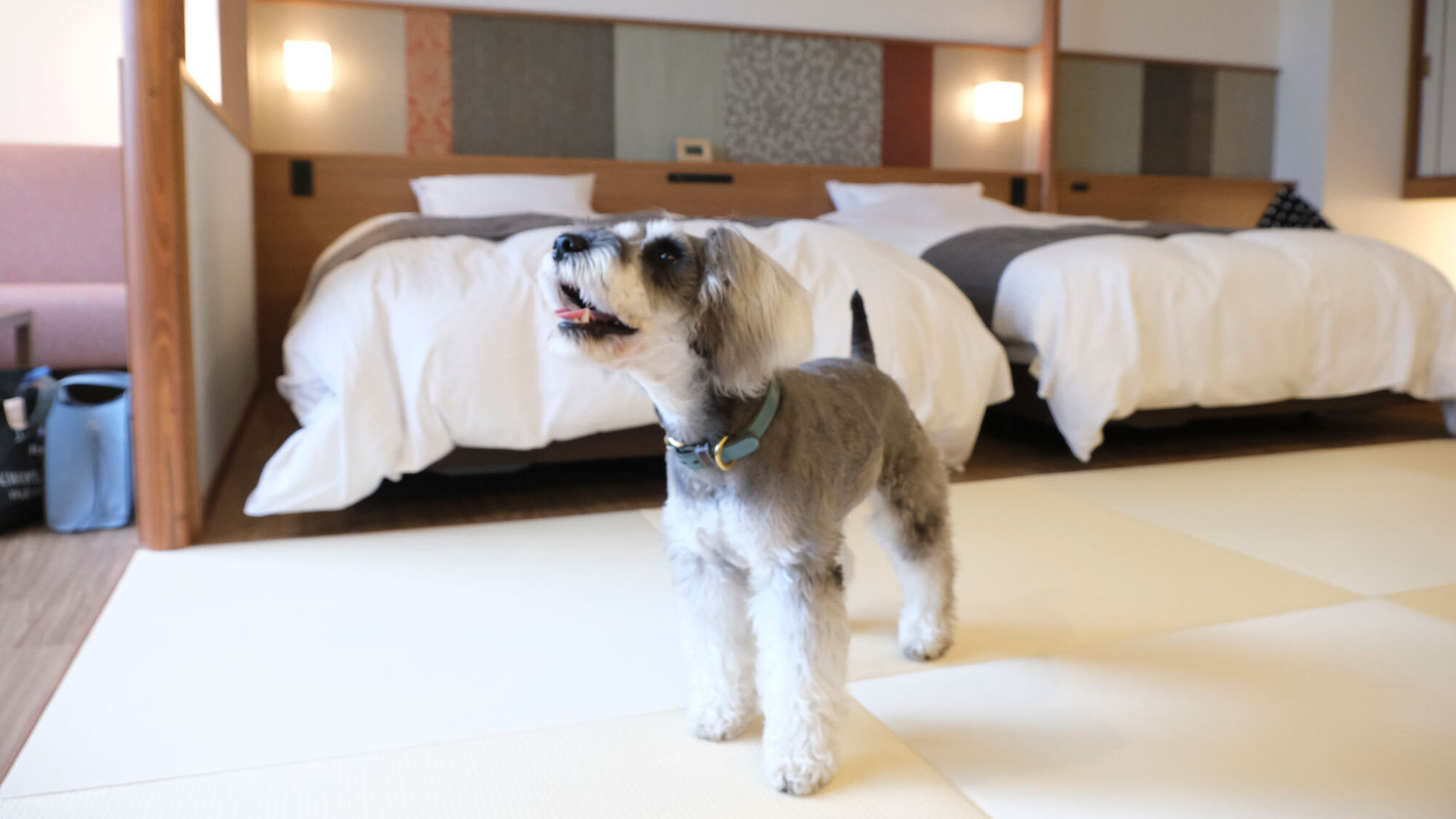 ワンちゃんルームイメージ