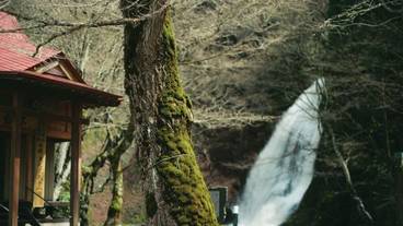 シティ ビュー / 10