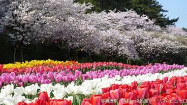 シティ ビュー / 17