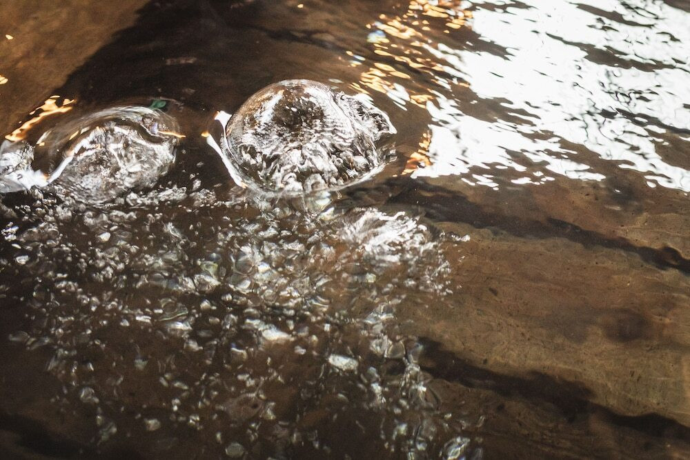 「源泉湧き流し」を初体験。心も体も癒される3701867