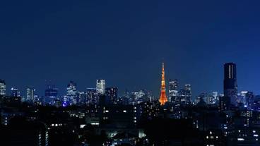 客室からの眺望一例 / 12