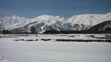 マウンテン ビュー / 22